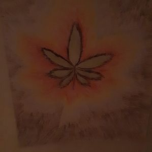 Meet your Posher, Derek